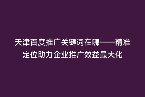天津百度推广关键词在哪——精准定位助力企业推广效益最大化