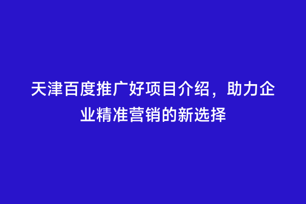 天津百度推广好项目介绍，助力企业精准营销的新选择